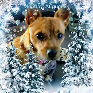 Meet your Posher, Karen